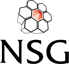 Bronze: NSG Environmental Ltd. NSG Environmental Ltd.